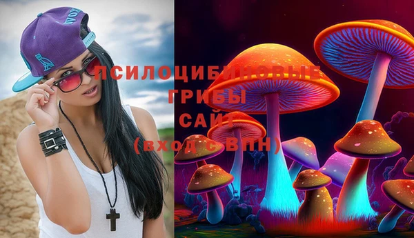 мет Абинск